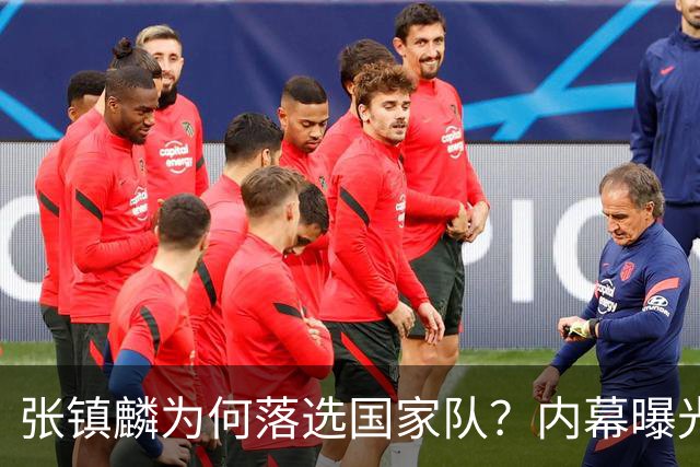 张镇麟为何落选国家队？内幕曝光，叫人心疼，郭士强并没放弃他