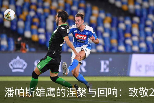 潘帕斯雄鹰的涅槃与回响：致敬2026的亚军，也致敬不屈的灵魂